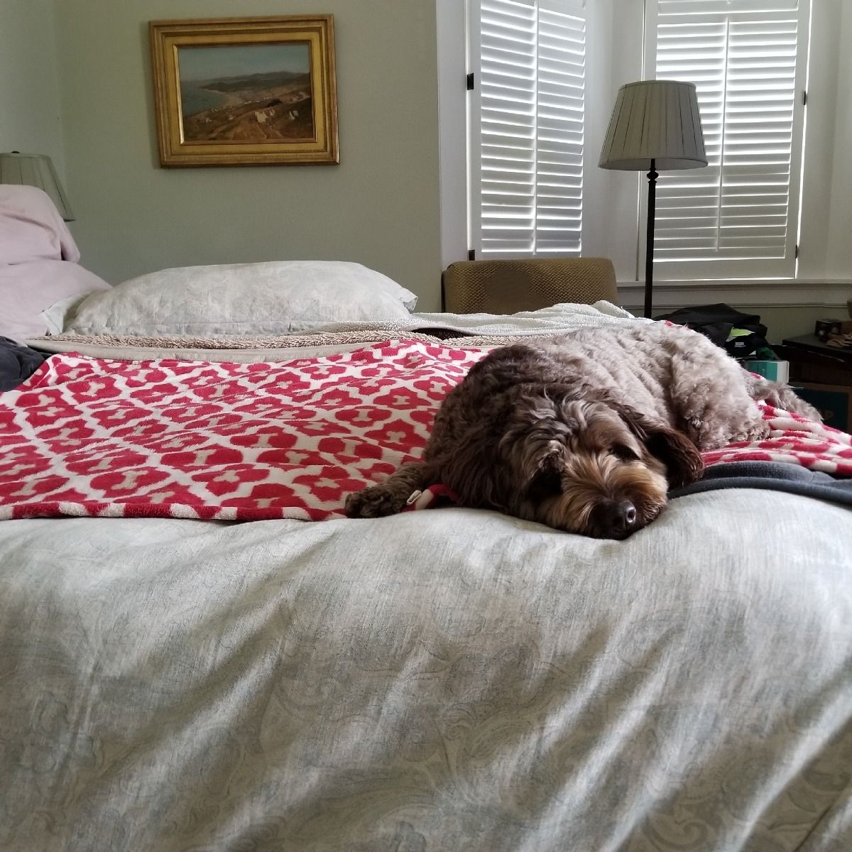 Red-Bone-Bed.jpeg