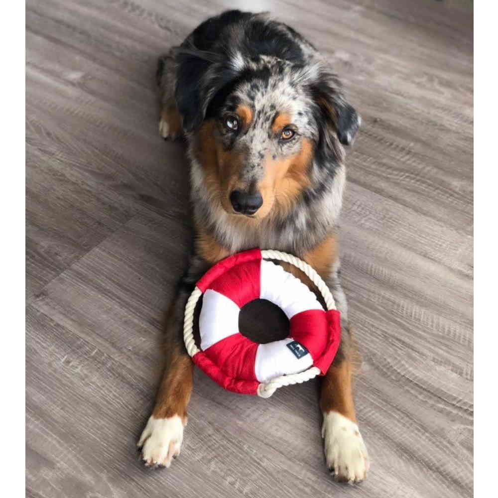lifebuoy2.jpeg