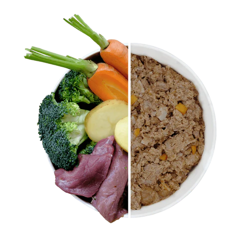 BOARWETFOOD-771141_500x
