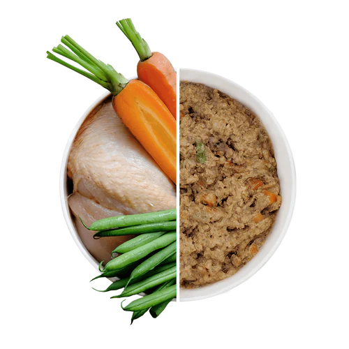 CHICKENWETFOOD-762534_500x